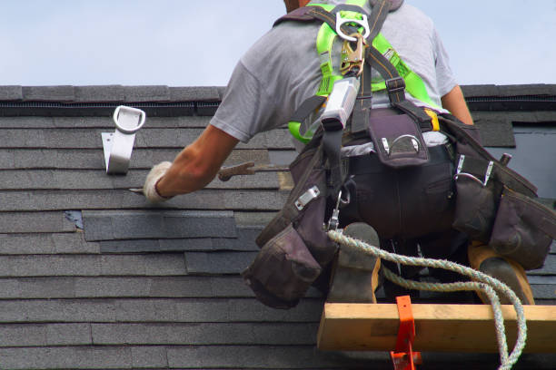 Best Metal Roofing Contractor  in Sumas, WA